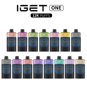 IGET One 12000 Puffs Disposable Vape | Incredible Performance & Best Flavours